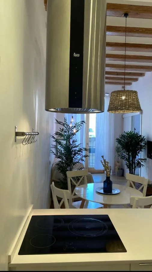 Civico 2 Barcelona Apartment