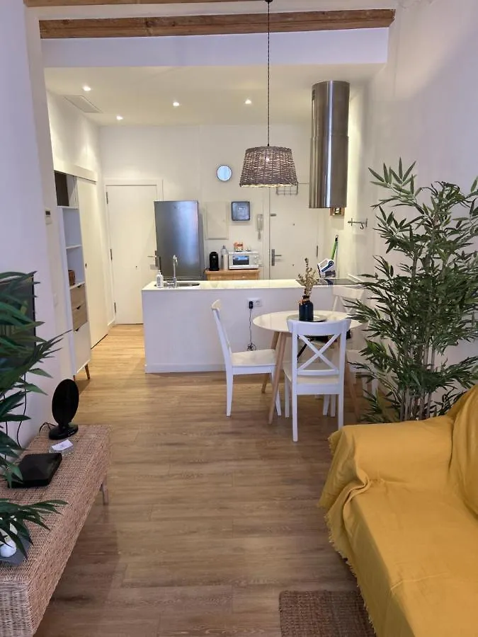 Civico 2 Barcelona Apartment